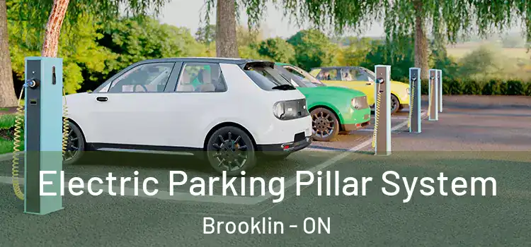  Electric Parking Pillar System Brooklin - ON