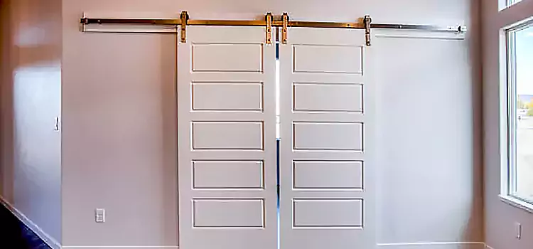 Glass Barn Door with Installation Hardware Kit Brooklin